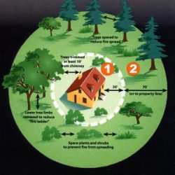 Defensible Space from State of California